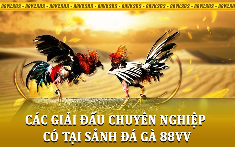 Đá Gà 88VV