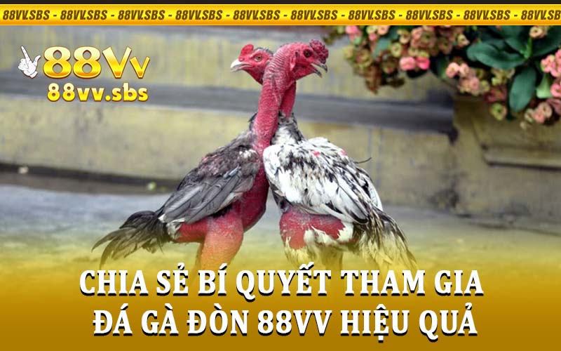 đá gà đòn 88VV